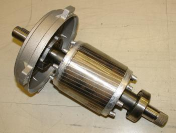 Rotor de jaula de ardilla